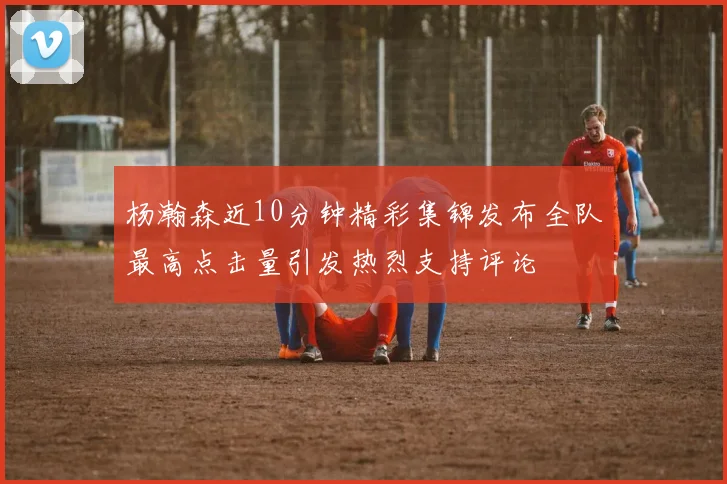 杨瀚森近10分钟精彩集锦发布全队最高点击量引发热烈支持评论